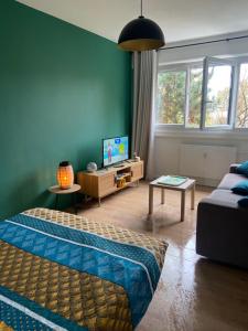 a living room with a green wall and a couch at Le Cosy in Chalon-sur-Saône