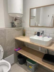 a bathroom with a sink and a mirror and a toilet at Le Cosy in Chalon-sur-Saône