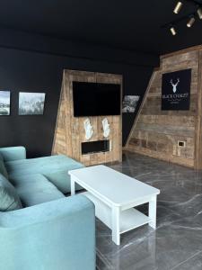 un soggiorno con un divano e un tavolo di Black Chalet 2 a Vârtop