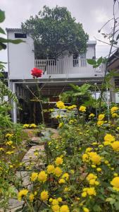 Vườn quanh NT House