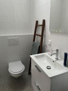 a bathroom with a white toilet and a sink at Ons Bijhuis in Wijk aan Zee
