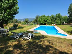 a yard with a swimming pool with lawn chairs at Quinta da Portela in Ferro +43 photos