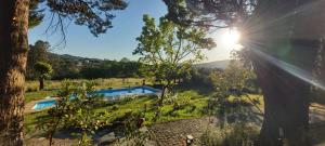 a view of a pool in a yard with a tree at Quinta da Portela in Ferro