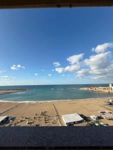 a view of a beach with the ocean and buildings at Classic Seaview in Alexandria