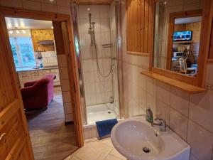 a bathroom with a shower and a sink in a room at Halmis FeWo in Derenburg