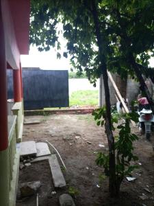 Ein Haus, das umgebaut wird, mit einem Baum im Garten in der Unterkunft Cabeza De Toro, Locales in Punta Cana