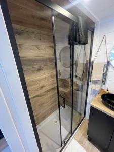 a shower with a glass door in a bathroom at Na samote u Noemi in Komjatná +49 photos