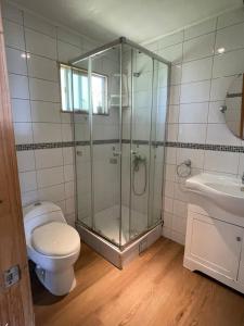 a bathroom with a shower and a toilet and a sink at Casa con acceso directo al lago y hermosas vistas in Puerto Varas