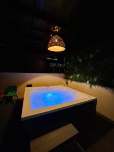 a bath tub with a blue pond in a room at Rooftop & Jacuzzi privé à 5 min de la plage in Flic-en-Flac