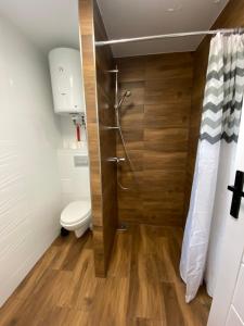 een badkamer met een toilet en een douchecabine bij Kajakiem z Marzysza in Marzysz