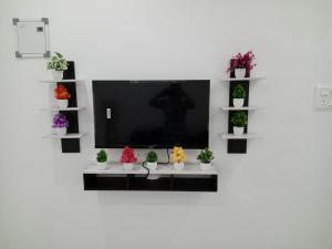 a television on a white wall with potted plants at EVA Residency in Kallar