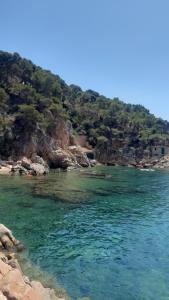 a body of water with rocks and a beach at Anchoveta in Calonge