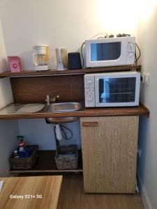 un forno a microonde seduto sopra un bancone della cucina di Studio chez Marilou a Arcens