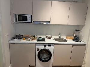 a kitchen with a washing machine and a sink at Vivienne Apartment in Kavač +5 photos