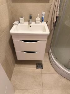 a bathroom with a white sink and a shower at Vivienne Apartment in Kavač