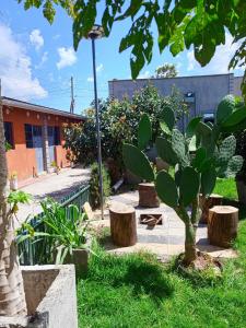 a garden with a tree and stools and a building at EsMash Homes Air,bnb Lanet Nakuru in Nakuru