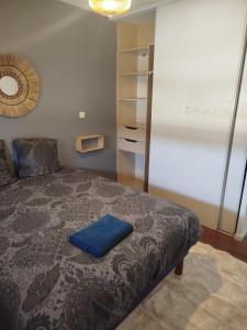 Billede fra billedgalleriet på Bel appartement 3 pièces climatisation i Saint-Alban