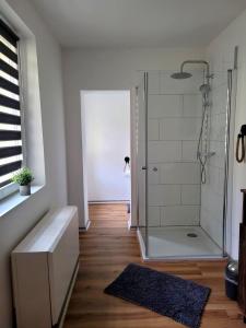 ein Bad mit einer Dusche mit einer Bank in der Unterkunft Entspannen am Großen Goitzschesee in Holzweißig