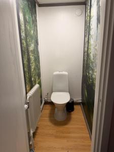 een badkamer met een wit toilet op de gang bij Bondasgården in Lima +28 foto's