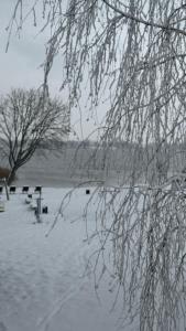 a snow covered field with trees and benches in it at Świat Jezior in Mikołajki