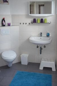 a bathroom with a toilet and a sink at Familien- & haustierfreundliche Ferienwohnung mit Garten nahe Ostsee in Schashagen
