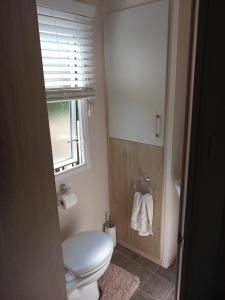 een kleine badkamer met een toilet en een raam bij 2-bed Hide-away Caravan at Ashbourne Heights in Fenny Bentley