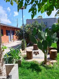 a garden with a tree and stools and a building at EsMash Studio Machine lanet Nakuru in Nakuru +7 photos