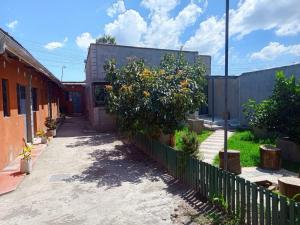 an alley with an orange tree and a fence at EsMash Studio Machine lanet Nakuru in Nakuru