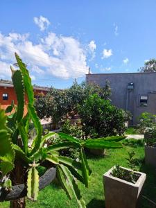 a garden with trees and plants in a yard at EsMash Studio Machine lanet Nakuru in Nakuru