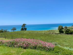 a field with pink flowers and the ocean in the background at Penguin Seaside Farm in Penguin +5 photos