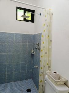 a bathroom with a shower and a toilet and a window at Casa Polito in Izamal +25 photos