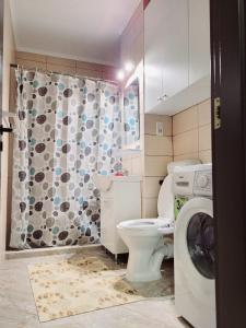 a bathroom with a toilet and a washing machine at Double rooms apartament in Sînpetru