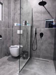 a bathroom with a shower and a toilet at Casa Elia AXD in Alexandroupoli +31 photos