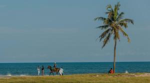 a group of people riding horses on a beach with a palm tree at Studio Room by Elegushi beach resort in Mama