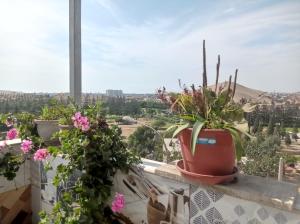 a window sill with potted plants on it at jazmines point in Lima