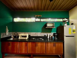 een groene keuken met een wastafel en een koelkast bij Jungle House with Private Jacuzzi in Uvita