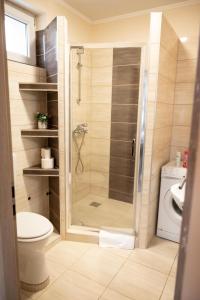 a bathroom with a shower and a toilet at Centrum Apartman in Nagykálló