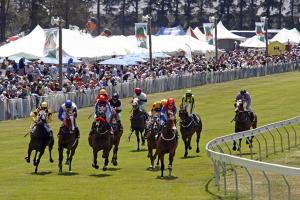 een groep jockeys die paardrijden op een renbaan bij TuiStay in Cromwell +7 foto's