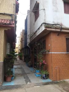 eine Gasse mit Pflanzen in Töpfen auf einem Gebäude in der Unterkunft penthouse in Mohammedia