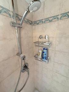 a shower with a shower head in a bathroom at Podere Boschetto Moroni in Massa Marittima +46 photos