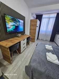 a bedroom with a desk and a television on a wall at AchiDav 135 in Onești