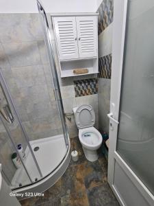 a small bathroom with a toilet and a shower at AchiDav 135 in Onești +15 photos