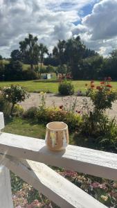 een kom die op een witte bank in een park staat bij Buena Vista in Geraldine