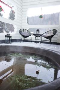 Een vogel staat in een vijver bij een huis. bij Садиба "Hutsulyana" in Dobrovelychkivka +44 foto's