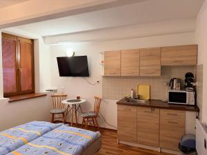 Køkken eller tekøkken på Mlyn Vlachy 1997