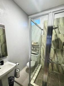 a bathroom with a shower and a toilet and a sink at Mayaro getaway in Saint Margaret