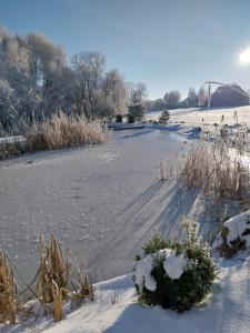 Afbeelding uit fotogalerij van Pond Cabin 