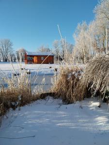 Afbeelding uit fotogalerij van Pond Cabin 