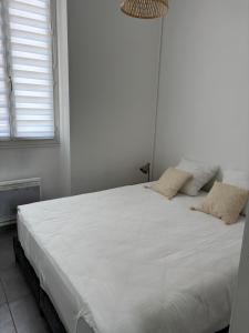 een wit bed met 2 kussens in een slaapkamer bij Chez Aurore in Port-de-Bouc