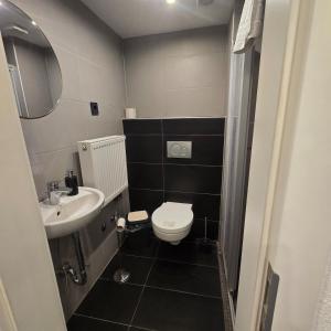 a small bathroom with a toilet and a sink at DoubleRoom - work and stay - shared house - 2floor in Linz am Rhein +15 photos